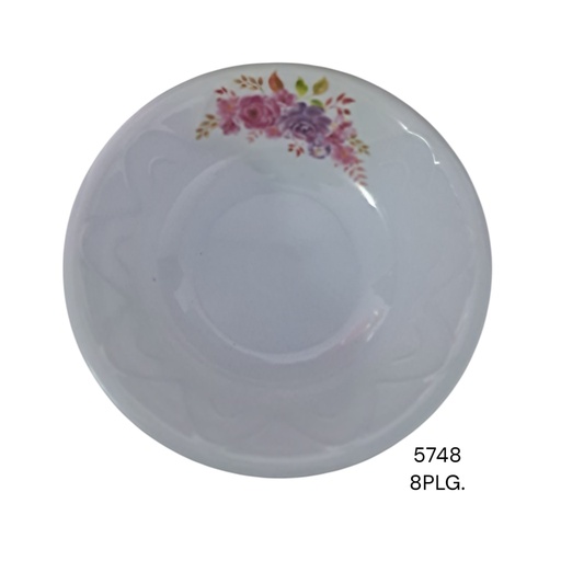 [5748] PLATO MM DECORADO DE 8PG CXB-240UD.